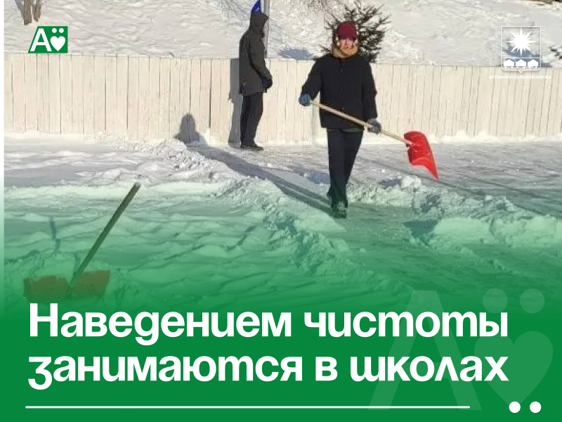 Наведением чистоты занимаются в школах .