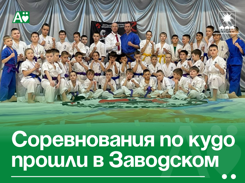 Соревнования по кудо прошли в Заводском.
