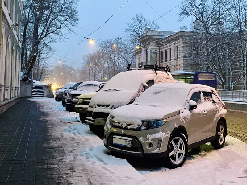 В Приморье в ноябре подешевели подержанные иномарки.