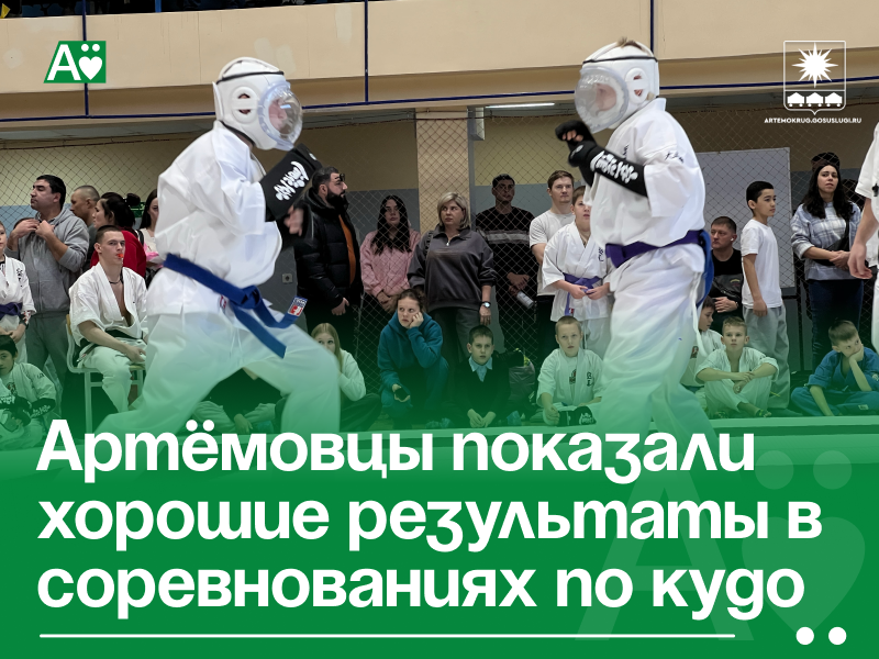 Артёмовцы показали хорошие результаты в соревнованиях по кудо.