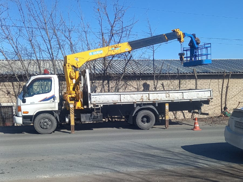 Санитарную обрезку деревьев проводят в Артеме.