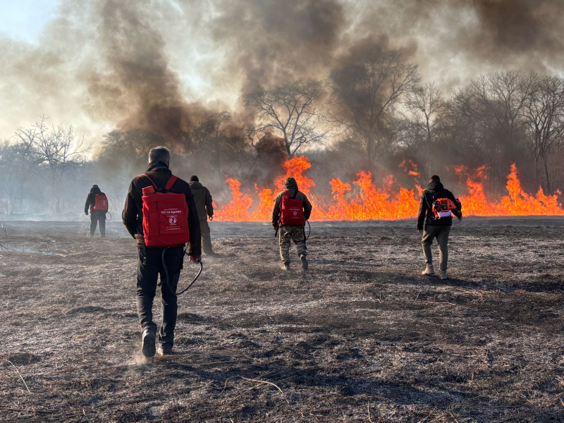 Более 50 возгораний ликвидировано в Артёме в марте.