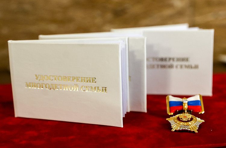 Более 477 миллионов рублей направили на поддержку многодетных семей в Приморье с начала года, сообщает www.primorsky.ru.