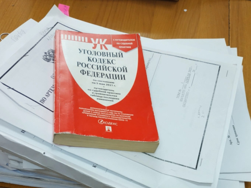 В Артеме Приморского края заключена под стражу местная жительница, находившаяся в федеральном розыске.