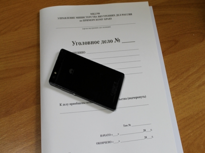 В Артеме полицейские задержали подозреваемого в совершении имущественных преступлений.