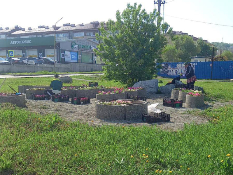 Цветы продолжают высаживать в Артеме . Цветы продолжают высаживать в Артеме .
