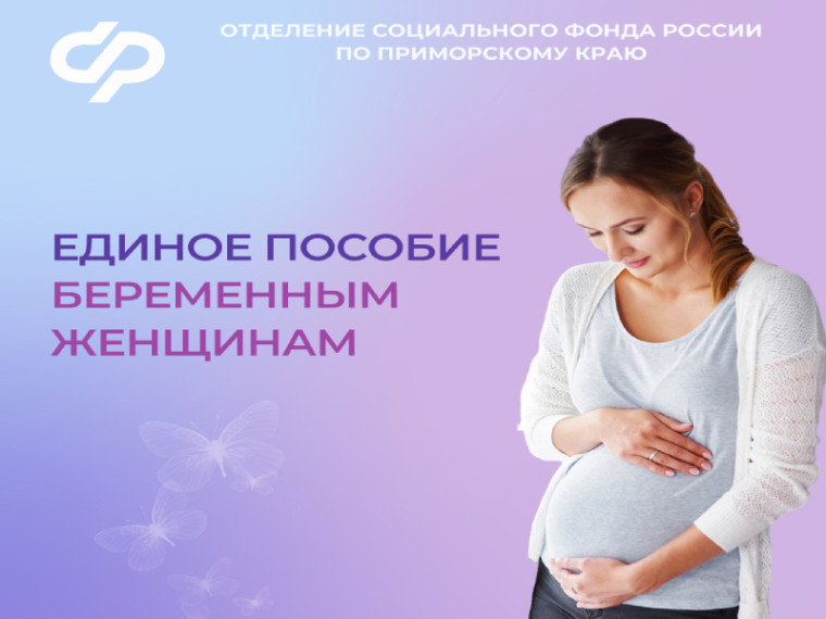 Свыше 2,5 тысячи будущих мам в Приморье получают единое пособие. Свыше 2,5 тысячи будущих мам в Приморье получают единое пособие.