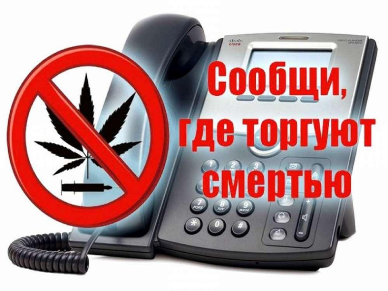 В Артеме Приморского края полиция проводит акцию «Сообщи, где торгуют смертью». В Артеме Приморского края полиция проводит акцию «Сообщи, где торгуют смертью».