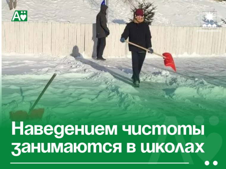 Наведением чистоты занимаются в школах .