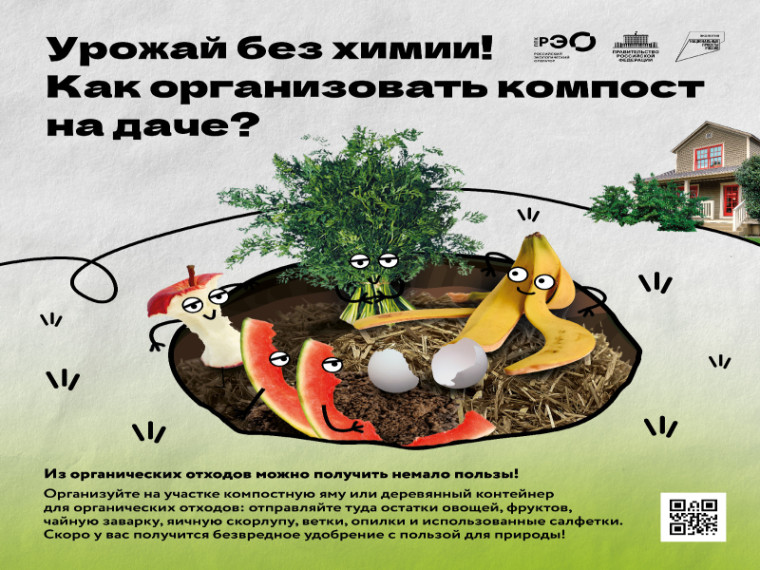 Урожай без химии! Как организовать компост на даче?.