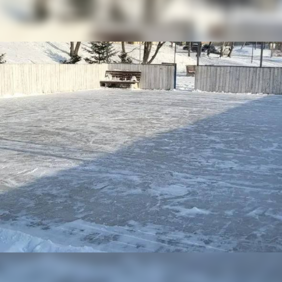 Наведением чистоты занимаются в школах .