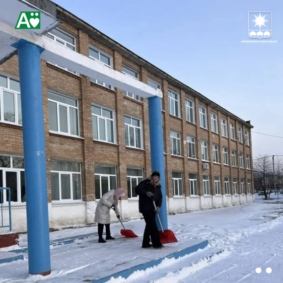 Наведением чистоты занимаются в школах .