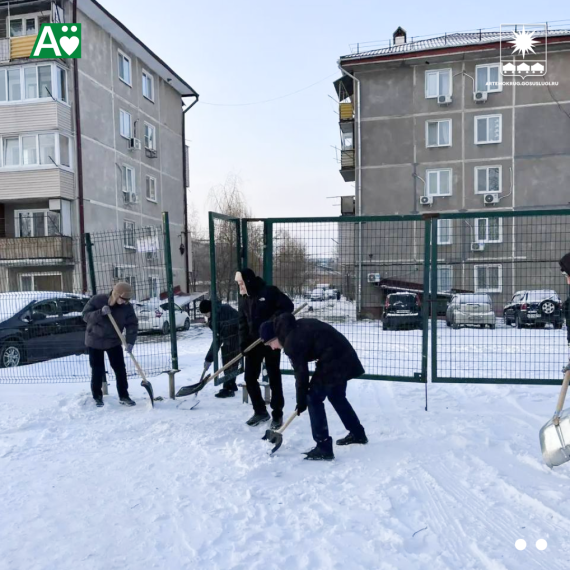 Наведением чистоты занимаются в школах .