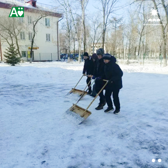 Наведением чистоты занимаются в школах .